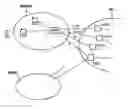 Fig. 01 - Method for broadcasting of a possibility to use 3g mobile communication network