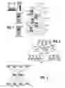 Fig. 02 - Supplementary header for multifabric and high port count switch support in a fibre channel network