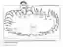 Fig. 06 - Self-similar laser oscillator