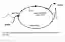 Fig. 12 - Self-similar laser oscillator