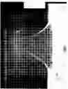 Fig. 06 - Silica sol gel micro-laser on a substrate