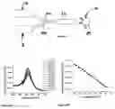 Fig. 06 - Nanoparticle thermometry and pressure sensors
