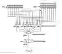 Fig. 08 - Post despreading interpolation in CDMA systems