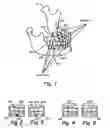 Fig. 02 - Radiation sensitive recording plate with orientation identifying marker, method of making, and of using same