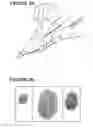 Fig. 04 - Method for identity verification