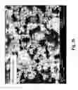 Fig. 04 - Sulfur oxide adsorbents and emissions control