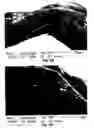 Fig. 05 - Macroscopic ordered assembly of carbon nanotubes