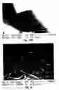 Fig. 15 - Macroscopic ordered assembly of carbon nanotubes