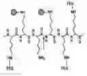 Fig. 01 - Activatable imaging probes