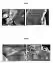 Fig. 04 - Process for the treatment of particles for use in pharmaceutical formulations
