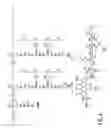 Fig. 05 - Preblocking with non-ha gags increases effectiveness of ha conjugated anticancer agents