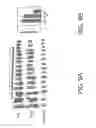 Fig. 10 - Preblocking with non-ha gags increases effectiveness of ha conjugated anticancer agents