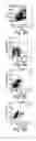 Fig. 09 - Methods related to immunostimulatory nucleic acid-induced interferon