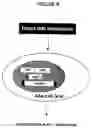 Fig. 06 - Adeno-associated virus materials and methods