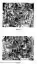 Fig. 13 - Bone restorative carrier mediums