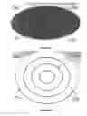 Fig. 25 - Bone restorative carrier mediums