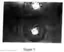 Fig. 06 - Use of alginate matrices to control cell growth