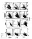 Fig. 10 - Cell fusions and methods of making and using the same
