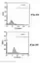Fig. 03 - Peptide scaffolds for transfer of molecules into eukaryotic cells