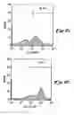 Fig. 04 - Peptide scaffolds for transfer of molecules into eukaryotic cells
