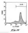 Fig. 05 - Peptide scaffolds for transfer of molecules into eukaryotic cells