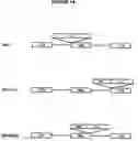 Fig. 02 - Allogeneic vaccine and methods to synthesize same