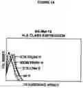 Fig. 07 - Allogeneic vaccine and methods to synthesize same