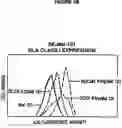 Fig. 08 - Allogeneic vaccine and methods to synthesize same