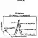Fig. 09 - Allogeneic vaccine and methods to synthesize same