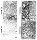Fig. 22 - Allogeneic vaccine and methods to synthesize same