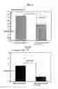 Fig. 08 - Composition and methods afor diagnosis and treatment of cardiovascular disorders