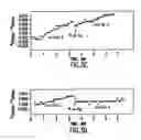 Fig. 06 - Methods for identifying agents that inhibit serum aging factors and uses and compositions thereof