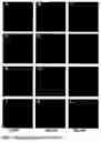 Fig. 05 - Non-viral delivery of compounds to mitochondria