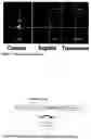 Fig. 08 - Non-viral delivery of compounds to mitochondria