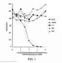 Fig. 02 - Monoclonal antibody recognizing phosphatidylinositol-3,4,5-triphosphate