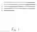 Fig. 02 - Immunogenic peptides and uses thereof