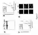 Fig. 06 - Novel functions for decay accelerating factor (DAF) in inflammation