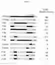 Fig. 22 - Methods for treating cancer and infectious disease by blocking CTLA4-B7 interactions