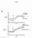 Fig. 06 - Pecam-1 modulation