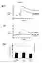 Fig. 07 - Pecam-1 modulation