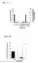 Fig. 03 - Antibodies which bind to proteins involved in cytoadhesion of plasmodlum falciparum ring-stage-infected erythrocytes