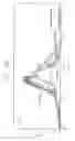 Fig. 20 - PSCA: prostate stem cell antigen and uses thereof in pancreatic cancer