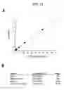 Fig. 48 - PSCA: prostate stem cell antigen and uses thereof in pancreatic cancer