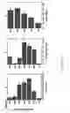 Fig. 09 - Controlled modulation of amino acid side chain length of peptide antigens