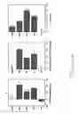 Fig. 10 - Controlled modulation of amino acid side chain length of peptide antigens