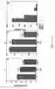 Fig. 13 - Controlled modulation of amino acid side chain length of peptide antigens