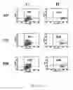 Fig. 16 - Controlled modulation of amino acid side chain length of peptide antigens