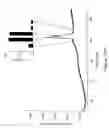 Fig. 15 - Compositions and methods for immunotherapy of cancer and infectious diseases