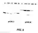 Fig. 07 - Attaching substances to microorganisms