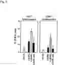 Fig. 06 - Recombinant poxvirus not having a functional 3beta-hsd gene
